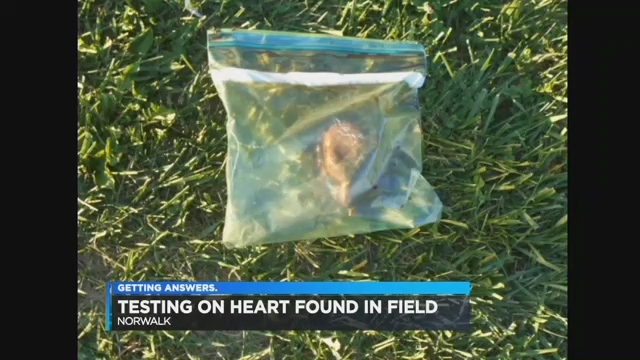  A fresh human heart has been found in a plastic bag next to an American supermarket by a group of paramedics