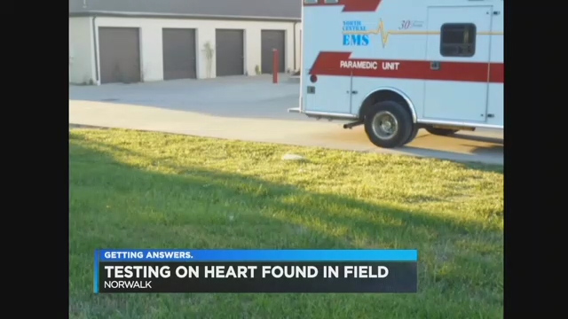  However it is 95 per cent certain to be a heart belonging to a human. There were no reports of anyone missing in Norwalk, Ohio, in the US where it was discovered