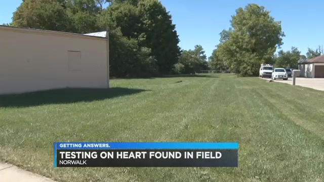  The heart was found next to the Friendship Food Store in Norwalk on August 25th by paramedics