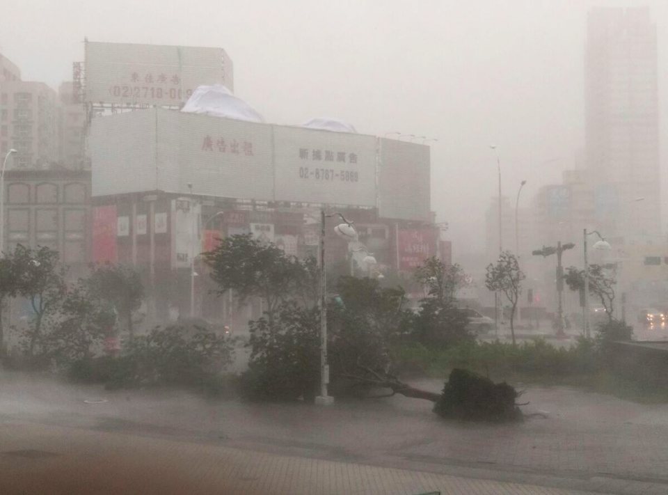  Trees are uprooted and high winds and rain from Super Typhoon Meranti lash Kaohsiung, southern Taiwan