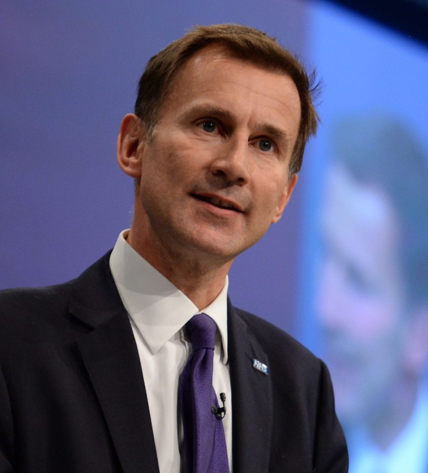  Judge ruled Jeremy Hunt had acted 'squarely' within his remit