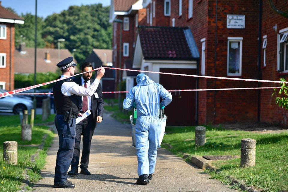  A murder investigation has been launched - at this time no arrests have been made