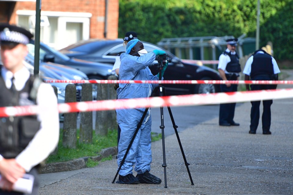  A murder investigation has been launched and police forensic teams are at the scene