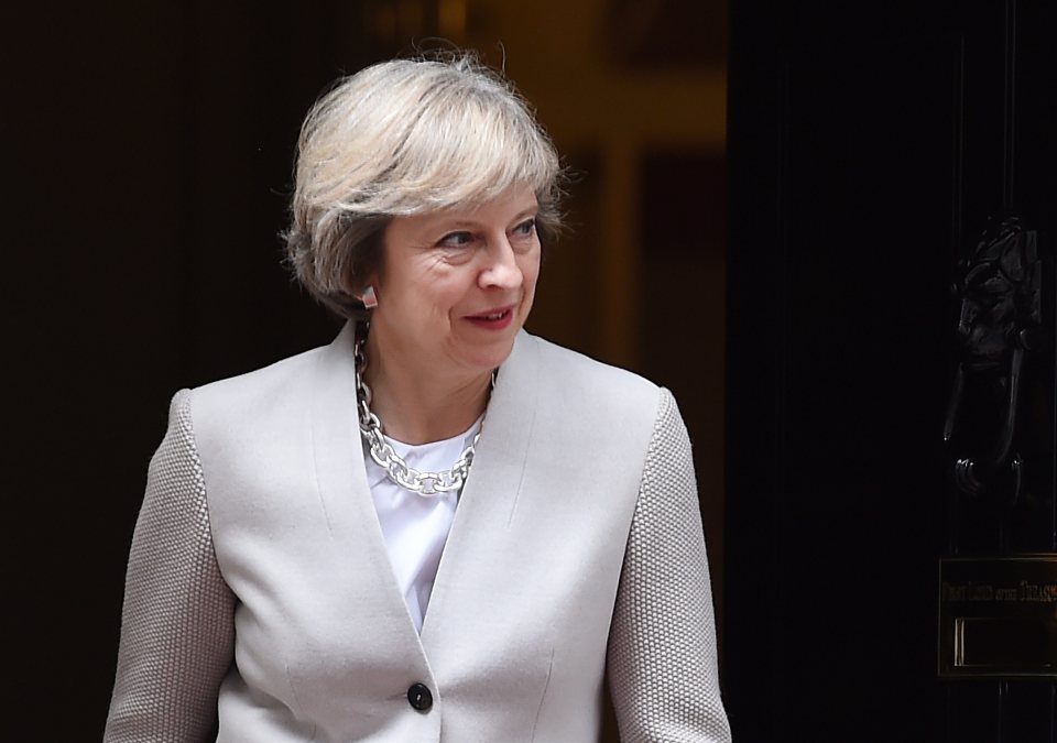  New Prime Minister Theresa May has backed the campaign