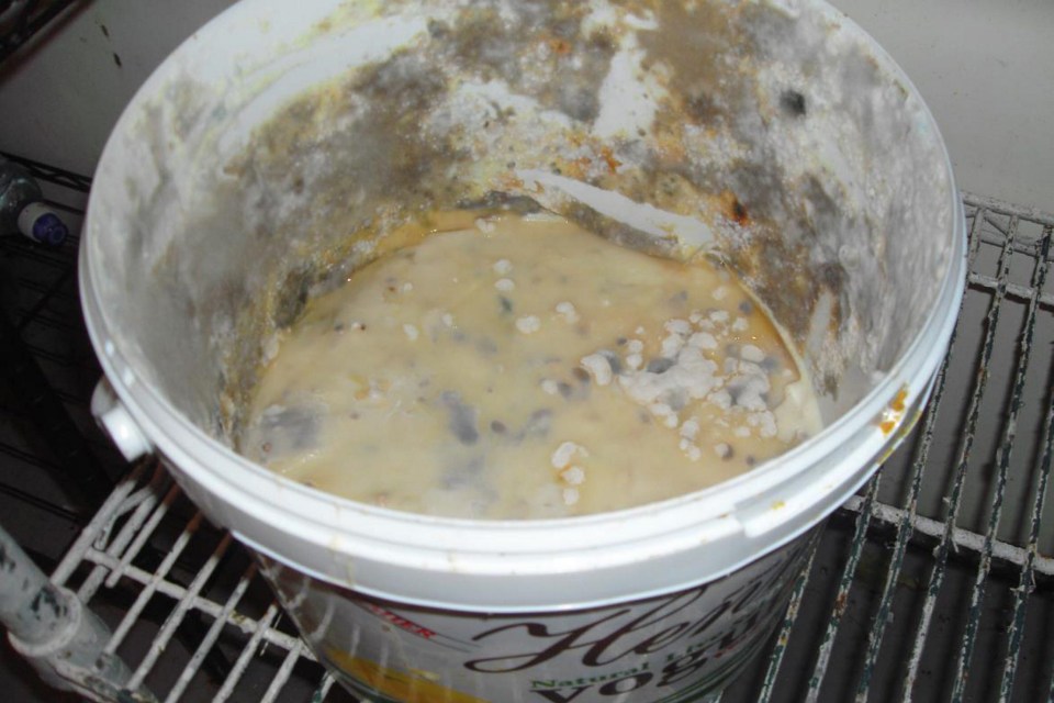 Mouldy yogurt sauce found in the cold room 