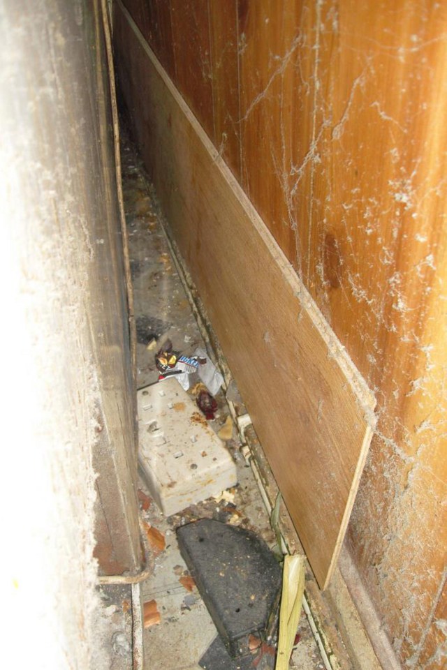  Insect webbing, dirt and food debris behind the freezer in the rear storage area of the takeaway