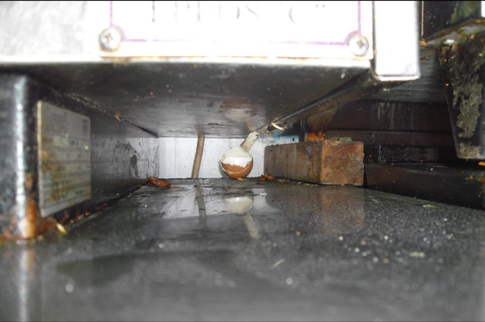  Food debris and grease under the steam oven in the servery kitchen