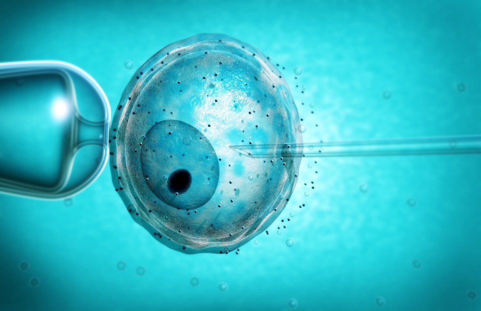  No sexual contact is needed to produce a baby with IVF treatment