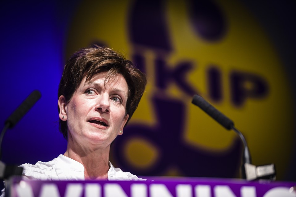 UKIP's new leader Diane James cites Putin as one of her political heroes - alongside Thatcher and Churchill