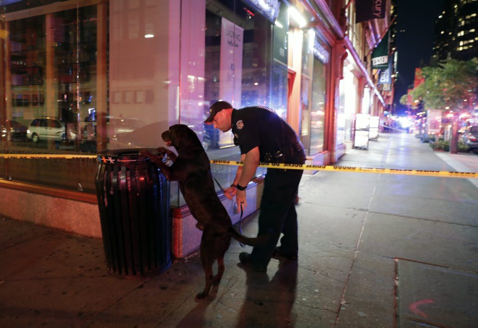  Police dogs have been seen sniffing bins in the area around the explosion since the blast