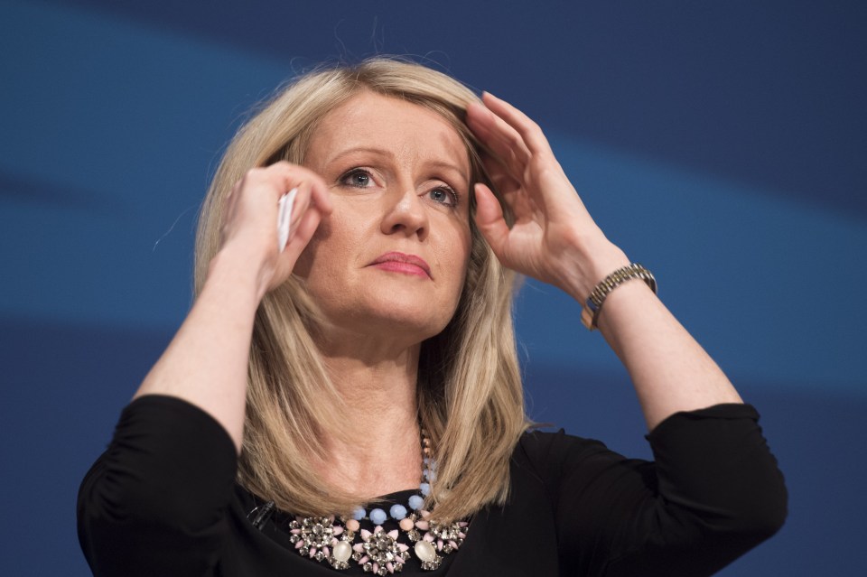  Former Conservative MP Esther McVey is eyeing up David Cameron's old seat