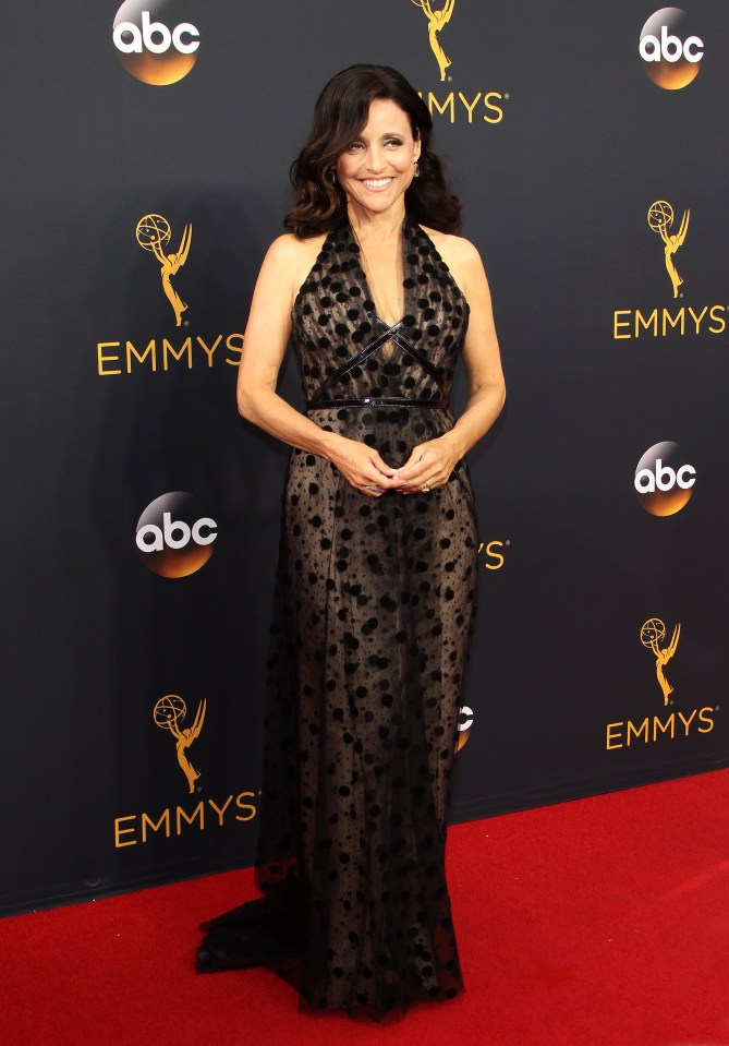  Multiple Emmy winner Julia Louis Dreyfus looked elegant in this cocktail dress