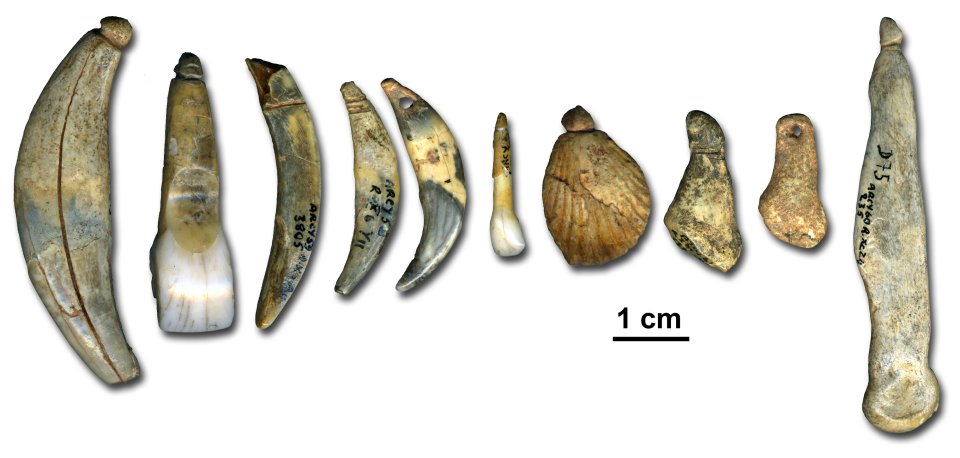  Châtelperronian body ornaments and bone points from the Grotte du Renne