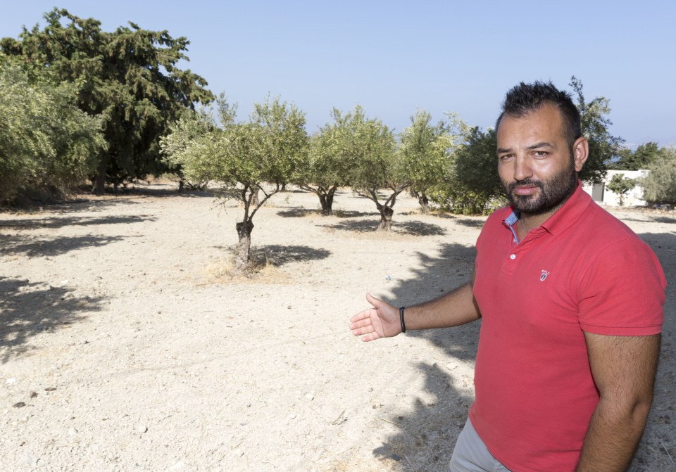  The olive grove where cops fear missing Ben Needham was buried after being crushed by a digger