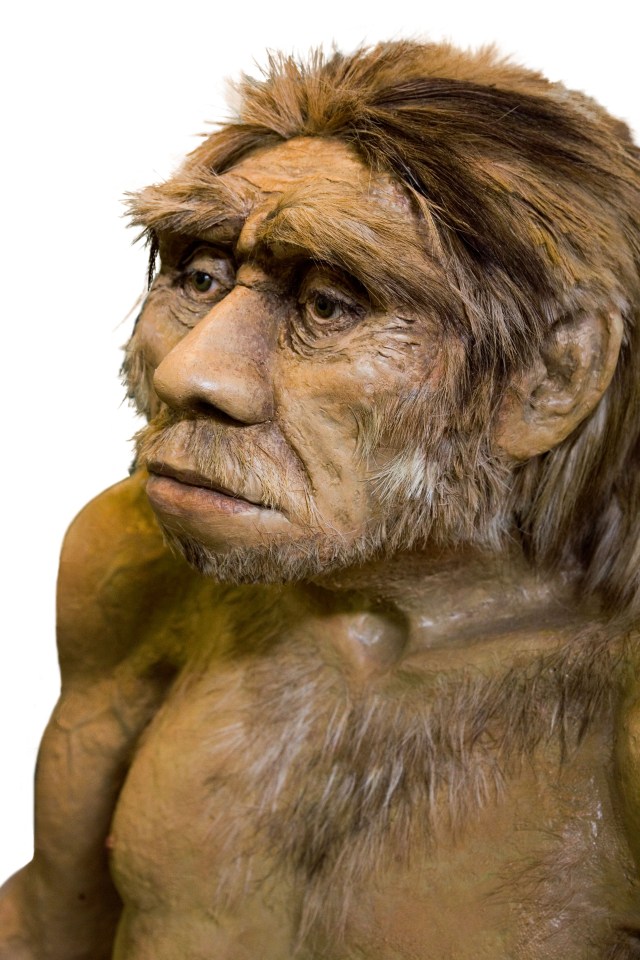  Neanderthals weren't as dumb as first thought, suggests new research