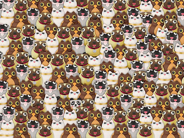  This puzzle has a panda hidden among owls, cats and dogs