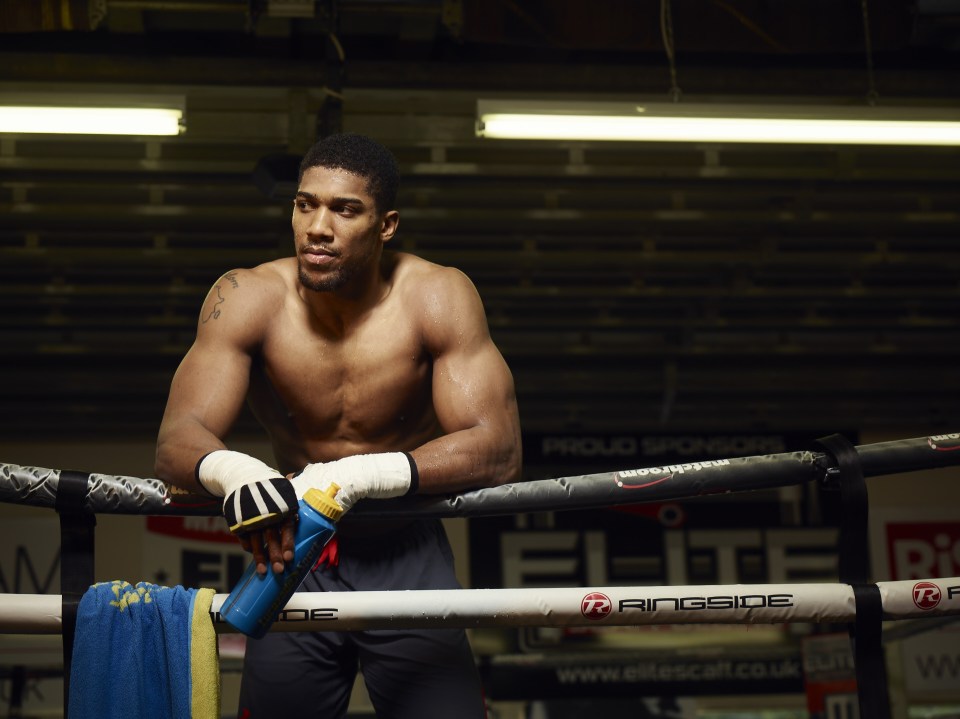  Undefeated Anthony Joshua has shrugged off David Price's world title slurs