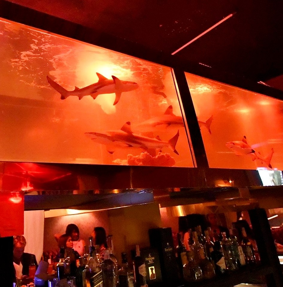  The bizarre fish tank holding sharks has been discovered in a Bangkok brothel