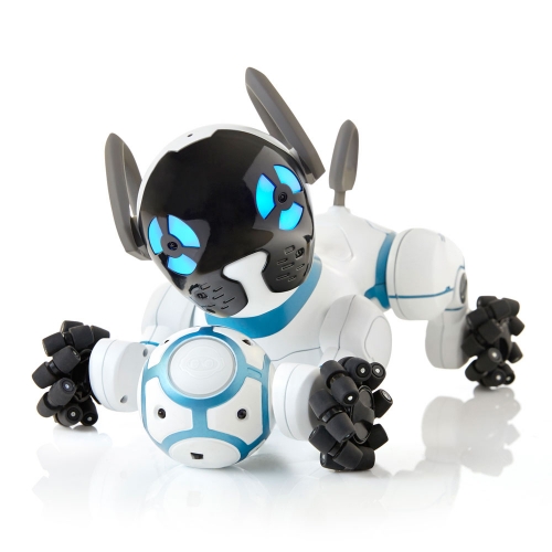  CHiP the robotic dog is slightly cleaner and more obedient than his flesh and blood counterparts