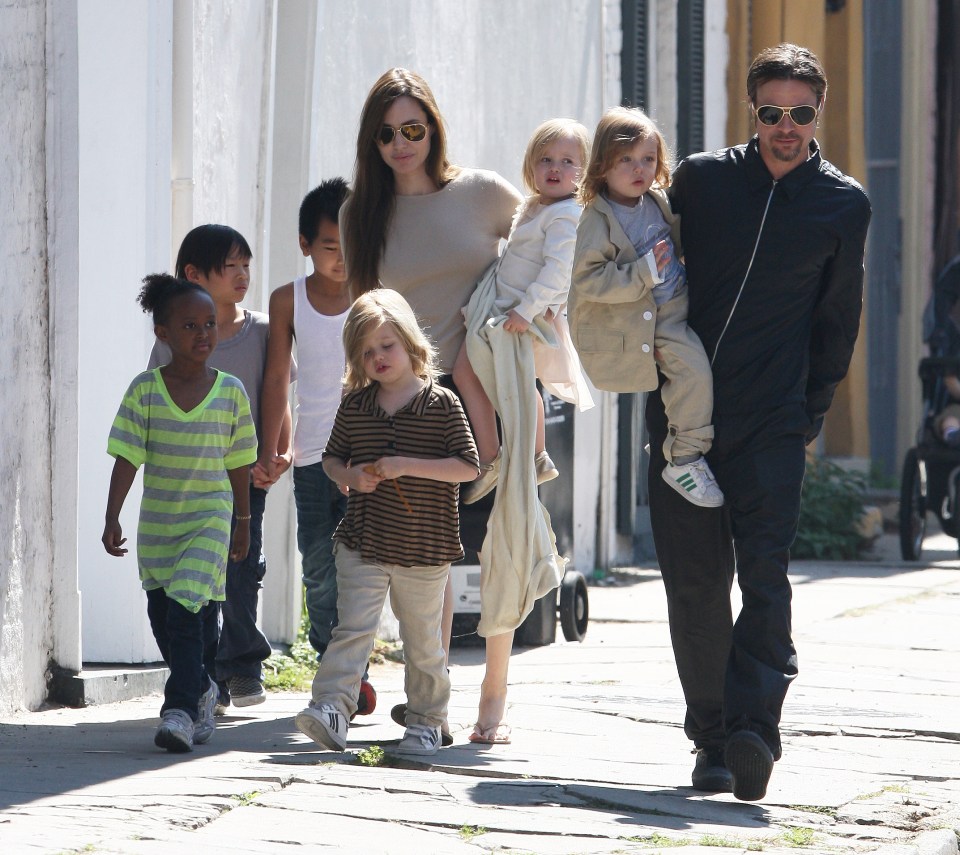  As Angelina Jolie files for divorce from Brad Pitt people are asking who will get custody of their six children?