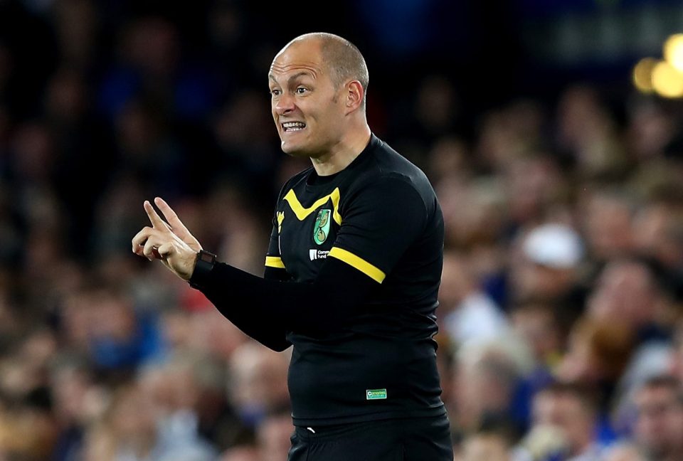  Canaries boss Alex Neil was delighted with the win