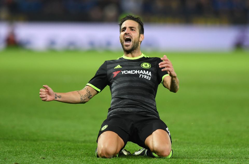 Chelsea's Spanish midfielder Cesc Fabregres slides down on his knees in celebration