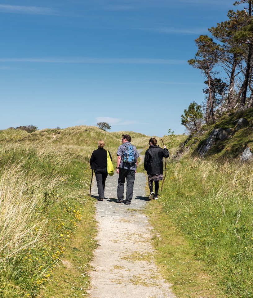  Ards Forest Park on the sheltered western shore of Sheephaven Bay