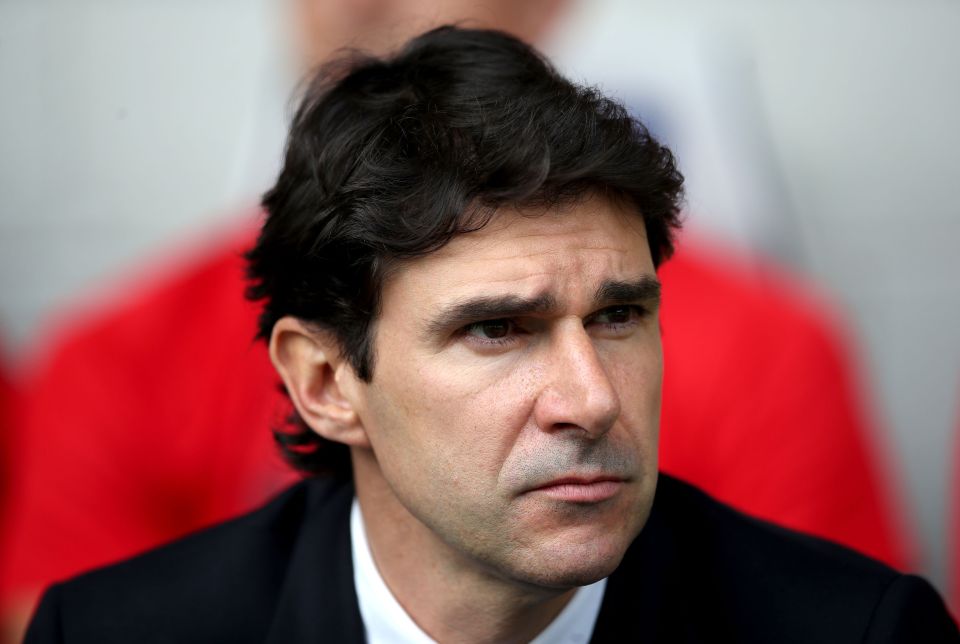  Aitor Karanka is close to having a full squad available