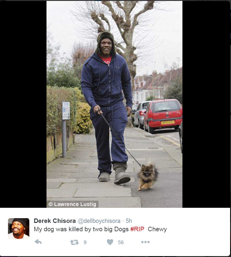  Derek Chisora paid tribute on Twitter to his pet pomeranian Chewy, which was allegedly mauled to death by a neighbour's alsatians