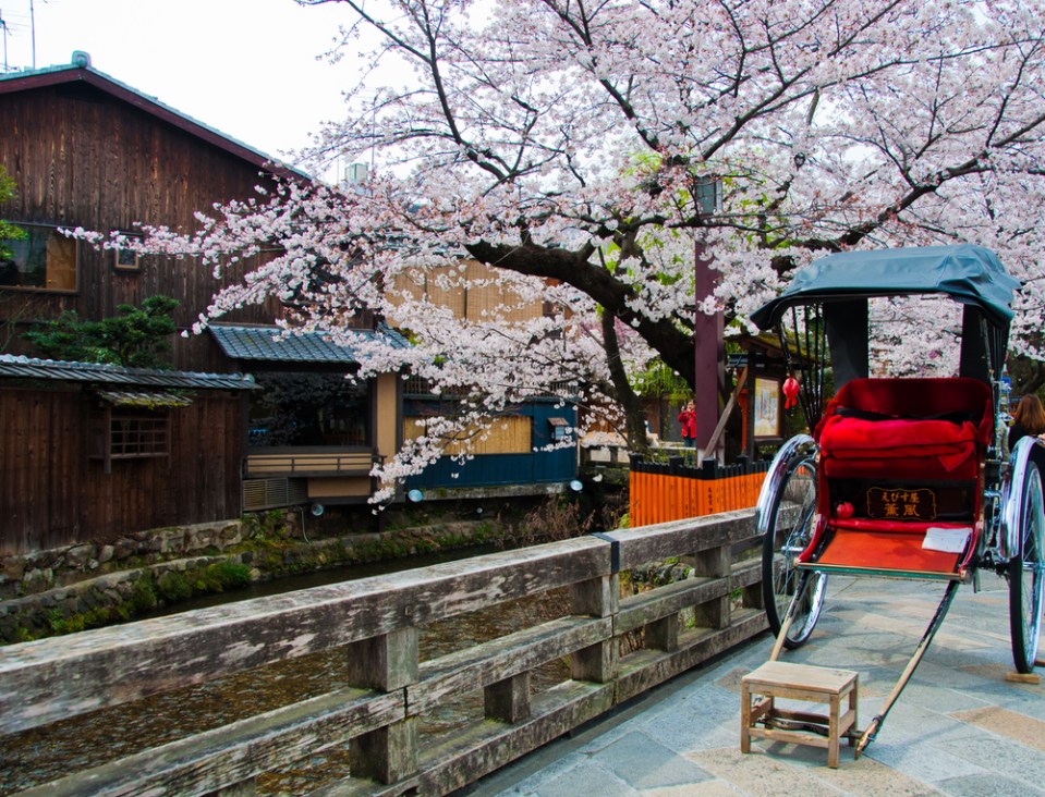  The colours combine with the city’s temples and shrines to create some unforgettable views