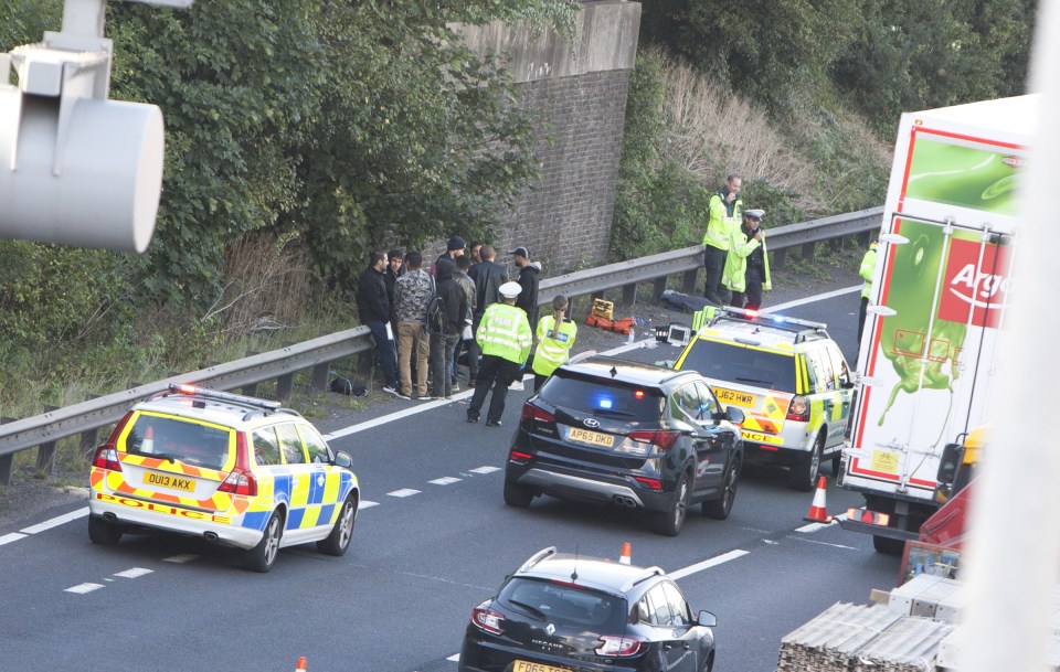  Drivers described seeing 'bodies' strewn across the road