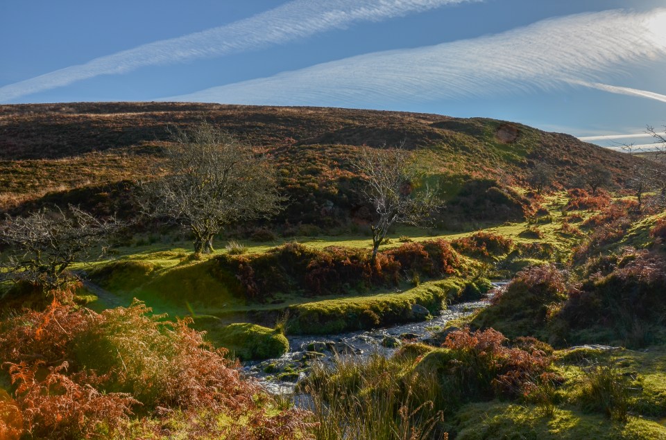  With scenery ranging from open moorland to dramatic cliffs, there are treats at every turn