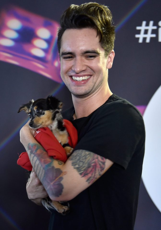  Many viewers took to Twitter to explain the difference between Panic! At The Disco's Brendon, pictured, and The Killers' Brandon