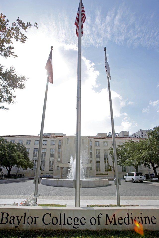 Flags fly outside the Baylor College of Medicine in Houston,