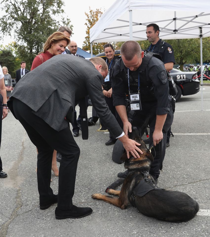 Prince William meets a Canadian canine on the visit