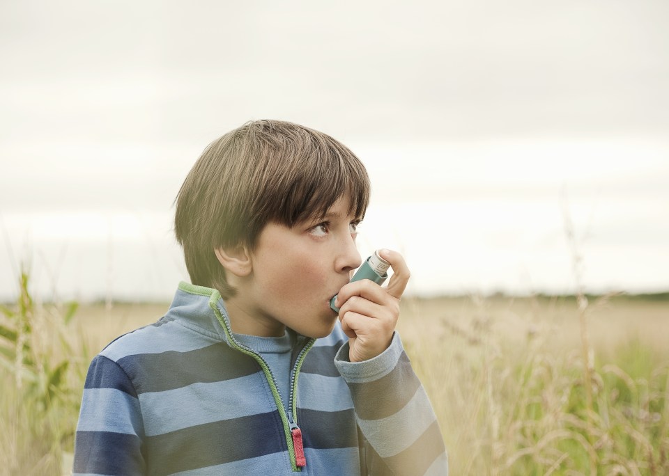  Children who grew up on a farm were more likely to have had pets, older siblings and to have shared a bedroom in their early childhood. As adults, they were 54 per cent less likely to have asthma or hay fever and 57 per cent less likely to have allergic nasal symptoms than those living in an inner city