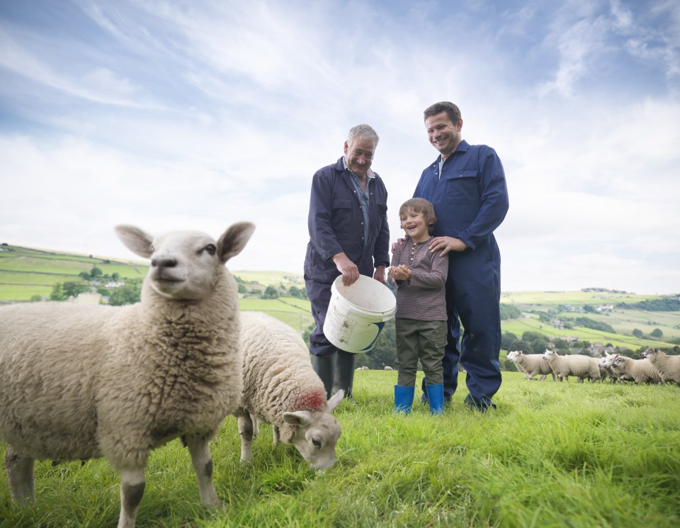  People who grow up on farms are less likely to suffer allergies, including asthma and hayfever, in later life, a new study suggests