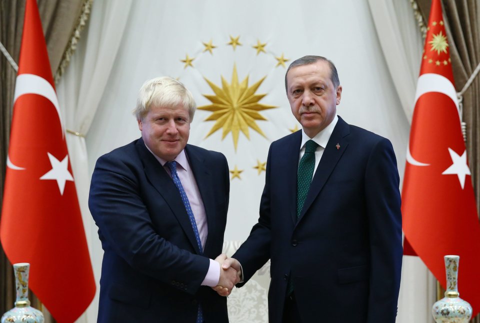  Boris Johnson during a meeting with Turkish President Recep Erdogan - who he previously called a 'wankerer from Ankara'