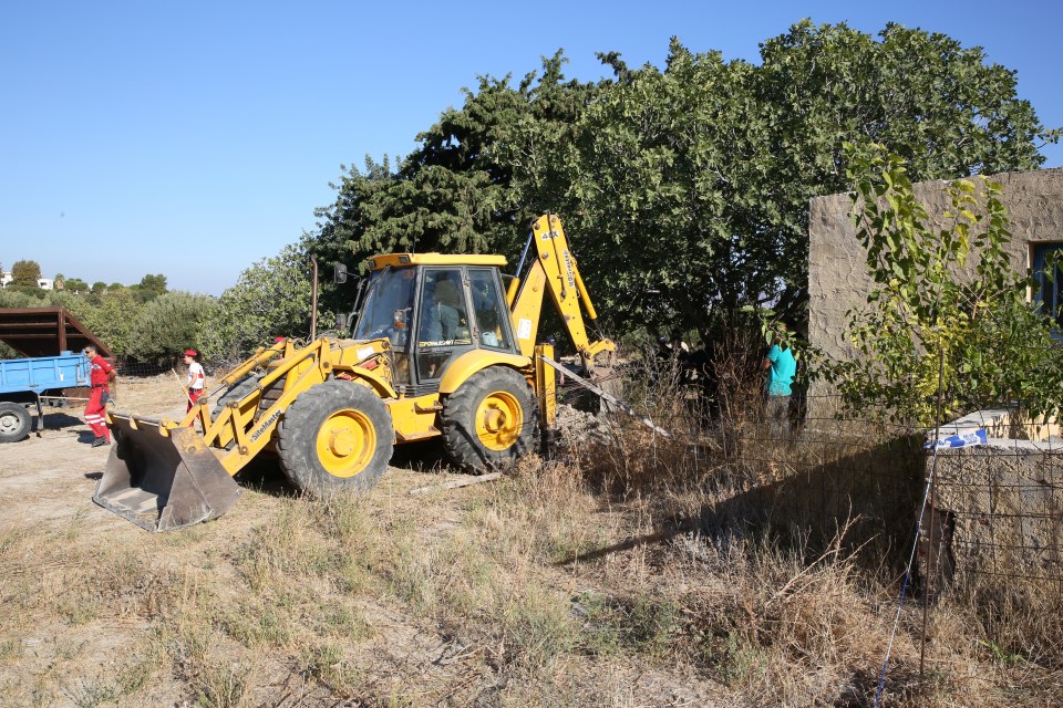  Police analysing the snap noticed a fig tree that wasn't there in 1991