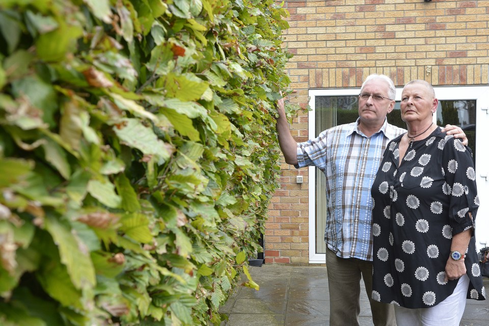  Hedge-row ... Steve and Sandra Marshall from have spent four years on a dispute over a boundary hedge