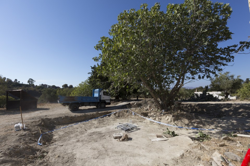  Forensic experts excavated around the tree on the Greek island of Kos