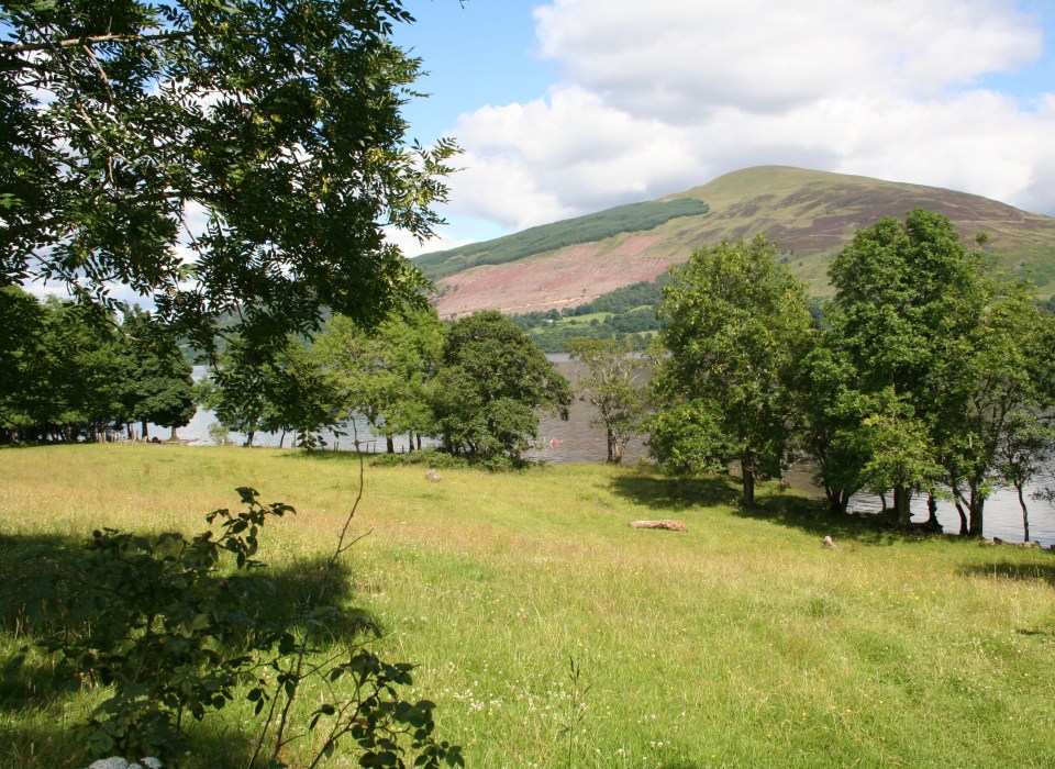  The site is three acres with a field where villagers used to be farm nestled between the ruins