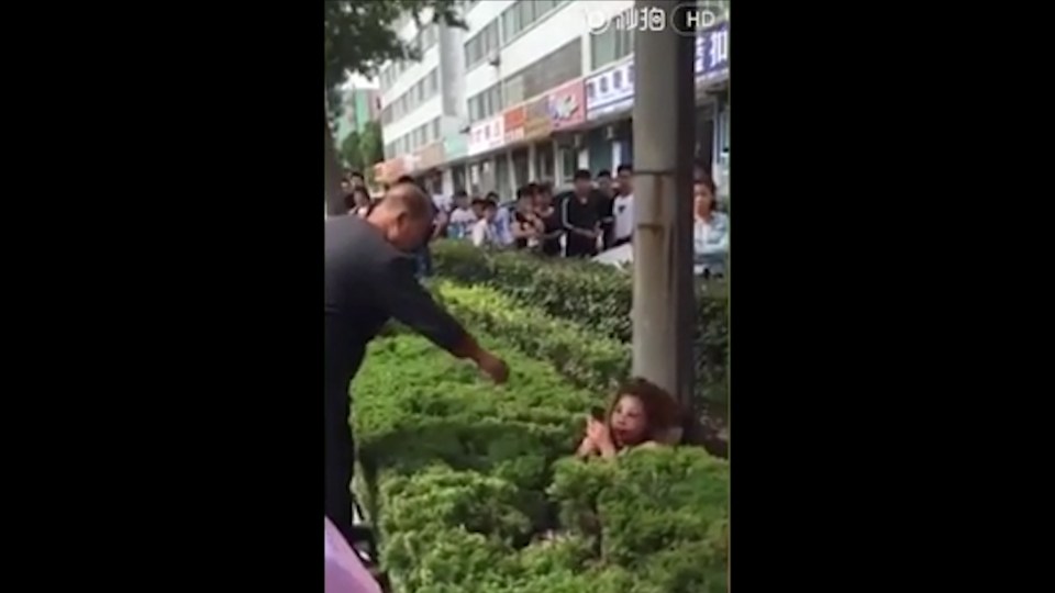  The woman was found slumped up against a tree in some bushes by a concerned passersby