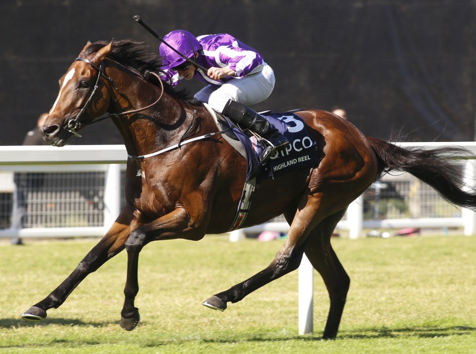  Highland Reel has won four Group 1 contests in his career already