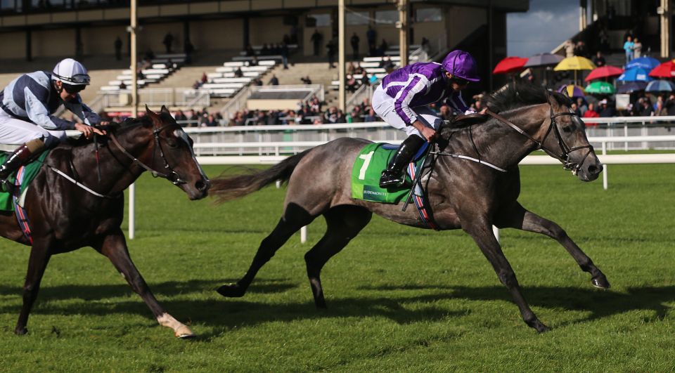  Yucatan (left) finished behind Capri in the Beresford Stakes