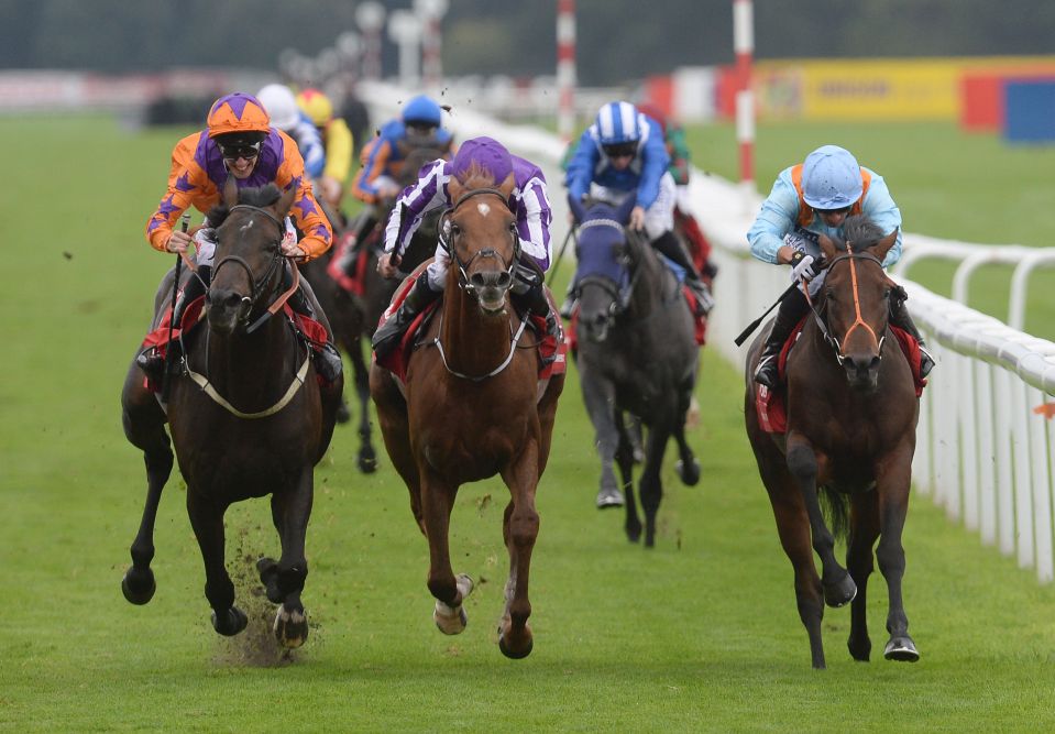  Harbour Law (left) digs deep at Donny to win the St Leger