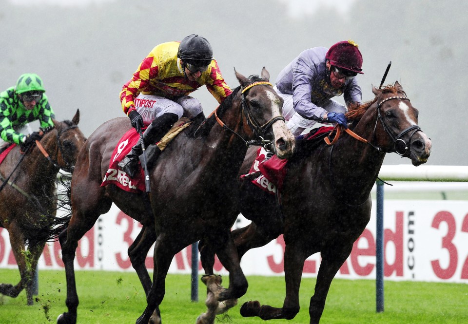  Hathal (right) has earned his right to tackle the QEII