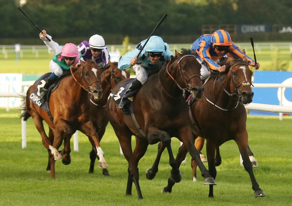  Almanzor (blue cap) and Found will renew their rivalry at Ascot