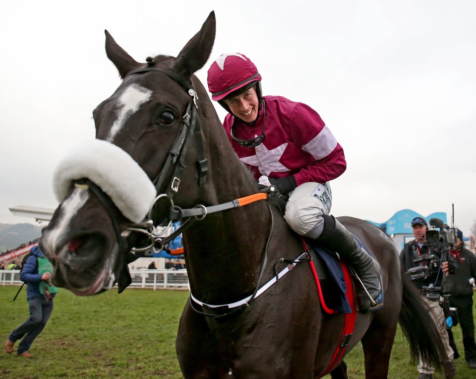  Don Cossack will not be back to defend his Gold Cup crown