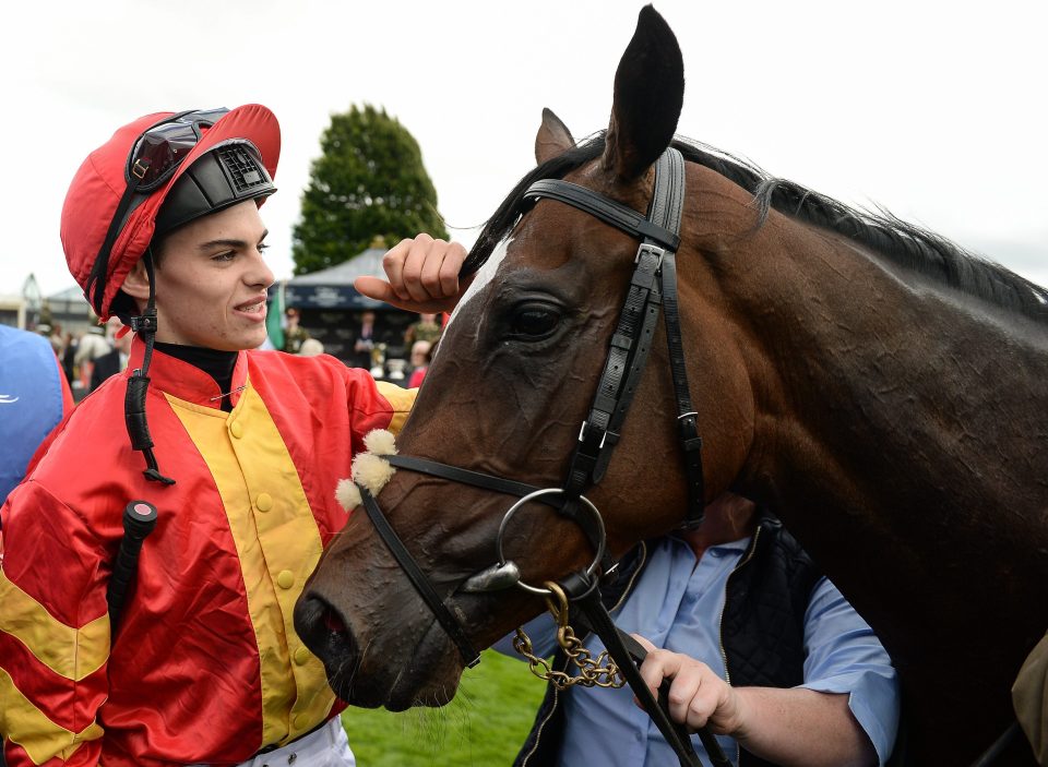  Donnacha O'Brien and Intricately